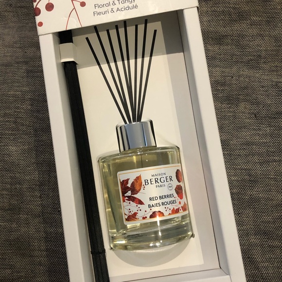 MAISON BERGER | Reed Diffuser - Fall Collection Scented Bouquet with Reed Sticks - Picture 3 of 6